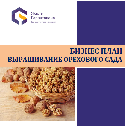 Ореховый сад-квадрат